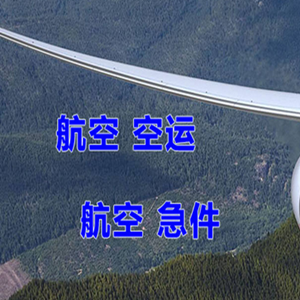 音布鲁克航空邮寄快递-选东方航空和上海航空