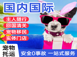 音布鲁克航空邮寄国际宠物托运 【国