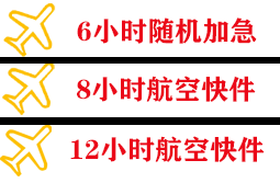 音布鲁克航空邮寄快递公司,专业空运当天件